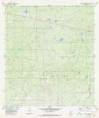 Alamito Creek NE Texas Historical topographic map, 1:24000 scale, 7.5 X 7.5 Minute, Year 1980