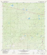Alamito Creek NE Texas Historical topographic map, 1:24000 scale, 7.5 X 7.5 Minute, Year 1980