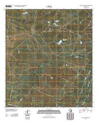 Alamito Creek NE Texas Historical topographic map, 1:24000 scale, 7.5 X 7.5 Minute, Year 2010