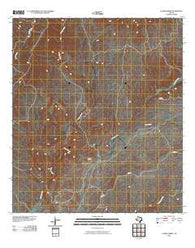 Alamo Spring Texas Historical topographic map, 1:24000 scale, 7.5 X 7.5 Minute, Year 2010