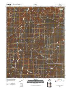 Alamocitos Camp Texas Historical topographic map, 1:24000 scale, 7.5 X 7.5 Minute, Year 2010