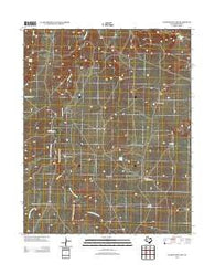 Alamocitos Camp Texas Historical topographic map, 1:24000 scale, 7.5 X 7.5 Minute, Year 2012