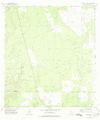 Albercas Ranch Texas Historical topographic map, 1:24000 scale, 7.5 X 7.5 Minute, Year 1972