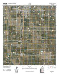 Alice South Texas Historical topographic map, 1:24000 scale, 7.5 X 7.5 Minute, Year 2010