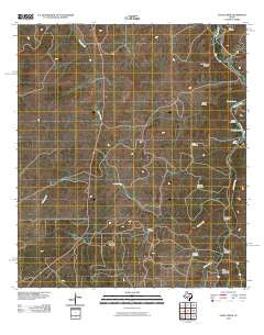 Allen Creek Texas Historical topographic map, 1:24000 scale, 7.5 X 7.5 Minute, Year 2010
