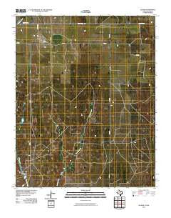 Allison Texas Historical topographic map, 1:24000 scale, 7.5 X 7.5 Minute, Year 2010