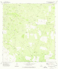 Alta Vista Ranch SW Texas Historical topographic map, 1:24000 scale, 7.5 X 7.5 Minute, Year 1972