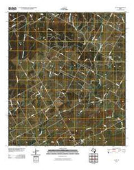 Alum Texas Historical topographic map, 1:24000 scale, 7.5 X 7.5 Minute, Year 2010