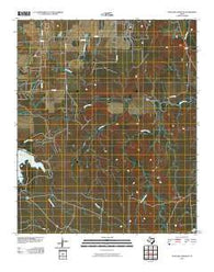 Antelope Creek NE Texas Historical topographic map, 1:24000 scale, 7.5 X 7.5 Minute, Year 2010