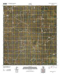 Armstrong Ranch Texas Historical topographic map, 1:24000 scale, 7.5 X 7.5 Minute, Year 2010