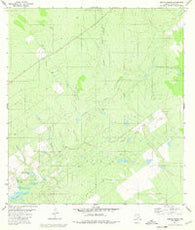 Arroyo Burro Texas Historical topographic map, 1:24000 scale, 7.5 X 7.5 Minute, Year 1980