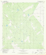Arroyo Huisache Texas Historical topographic map, 1:24000 scale, 7.5 X 7.5 Minute, Year 1980