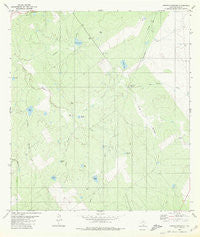 Arroyo Huisache Texas Historical topographic map, 1:24000 scale, 7.5 X 7.5 Minute, Year 1980