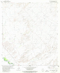 Arroyo Melado Texas Historical topographic map, 1:24000 scale, 7.5 X 7.5 Minute, Year 1980