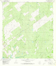 Arroyo Miguel Texas Historical topographic map, 1:24000 scale, 7.5 X 7.5 Minute, Year 1980