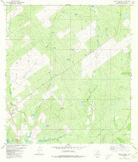 Arroyo Miguel Texas Historical topographic map, 1:24000 scale, 7.5 X 7.5 Minute, Year 1980