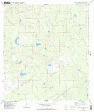Arroyo Salado East Texas Historical topographic map, 1:24000 scale, 7.5 X 7.5 Minute, Year 1980