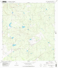 Arroyo Salado East Texas Historical topographic map, 1:24000 scale, 7.5 X 7.5 Minute, Year 1980
