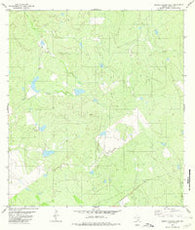 Arroyo Salado East Texas Historical topographic map, 1:24000 scale, 7.5 X 7.5 Minute, Year 1980