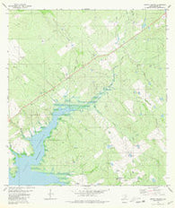 Arroyo Veleno Texas Historical topographic map, 1:24000 scale, 7.5 X 7.5 Minute, Year 1980