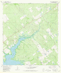 Arroyo Veleno Texas Historical topographic map, 1:24000 scale, 7.5 X 7.5 Minute, Year 1980