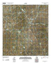 Arroyo Huisache Texas Historical topographic map, 1:24000 scale, 7.5 X 7.5 Minute, Year 2010