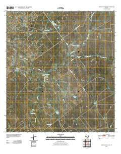 Arroyo Huisache Texas Historical topographic map, 1:24000 scale, 7.5 X 7.5 Minute, Year 2010