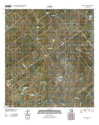 Arroyo Miguel Texas Historical topographic map, 1:24000 scale, 7.5 X 7.5 Minute, Year 2010