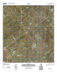 Arroyo Miguel Texas Historical topographic map, 1:24000 scale, 7.5 X 7.5 Minute, Year 2010