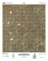Arroyo Salado East Texas Historical topographic map, 1:24000 scale, 7.5 X 7.5 Minute, Year 2010