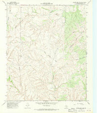 Badger Nest Tank Texas Historical topographic map, 1:24000 scale, 7.5 X 7.5 Minute, Year 1967