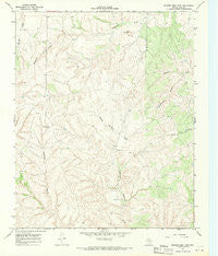 Badger Nest Tank Texas Historical topographic map, 1:24000 scale, 7.5 X 7.5 Minute, Year 1967