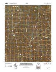 Badger Nest Tank Texas Historical topographic map, 1:24000 scale, 7.5 X 7.5 Minute, Year 2010