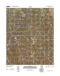 Badger Nest Tank Texas Historical topographic map, 1:24000 scale, 7.5 X 7.5 Minute, Year 2012