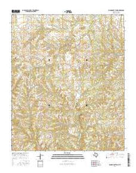 Badger Nest Tank Texas Current topographic map, 1:24000 scale, 7.5 X 7.5 Minute, Year 2016
