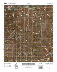 Bailey Creek Texas Historical topographic map, 1:24000 scale, 7.5 X 7.5 Minute, Year 2010