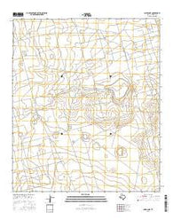 Baird Lake Texas Current topographic map, 1:24000 scale, 7.5 X 7.5 Minute, Year 2016