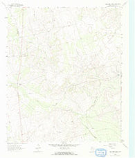 Ballinger Ranch Texas Historical topographic map, 1:24000 scale, 7.5 X 7.5 Minute, Year 1963