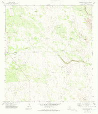 Baluarte Ranch Texas Historical topographic map, 1:24000 scale, 7.5 X 7.5 Minute, Year 1972