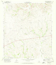 Barnhart NE Texas Historical topographic map, 1:24000 scale, 7.5 X 7.5 Minute, Year 1971