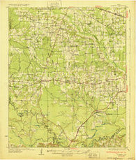 Bassett Texas Historical topographic map, 1:62500 scale, 15 X 15 Minute, Year 1930
