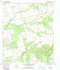 Baumann School Texas Historical topographic map, 1:24000 scale, 7.5 X 7.5 Minute, Year 1969