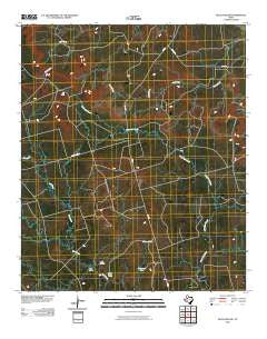 Beal Hollow Texas Historical topographic map, 1:24000 scale, 7.5 X 7.5 Minute, Year 2010