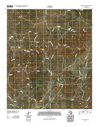 Bear Hollow Texas Historical topographic map, 1:24000 scale, 7.5 X 7.5 Minute, Year 2010