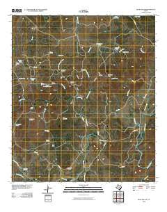 Bear Hollow Texas Historical topographic map, 1:24000 scale, 7.5 X 7.5 Minute, Year 2010