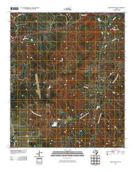 Bear Mountain Texas Historical topographic map, 1:24000 scale, 7.5 X 7.5 Minute, Year 2010