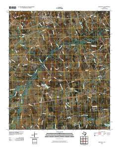 Beckville Texas Historical topographic map, 1:24000 scale, 7.5 X 7.5 Minute, Year 2010