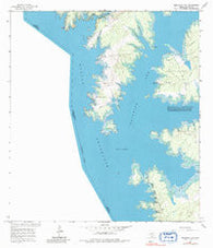 Beckwith Arm Texas Historical topographic map, 1:24000 scale, 7.5 X 7.5 Minute, Year 1965