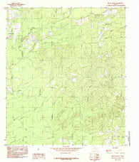Beech Grove Texas Historical topographic map, 1:24000 scale, 7.5 X 7.5 Minute, Year 1984