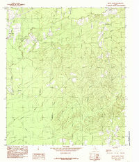 Beech Grove Texas Historical topographic map, 1:24000 scale, 7.5 X 7.5 Minute, Year 1984